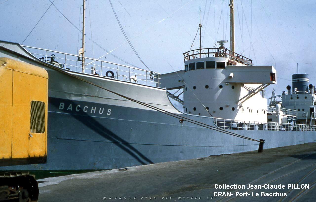 BACCHUS 01.jpg